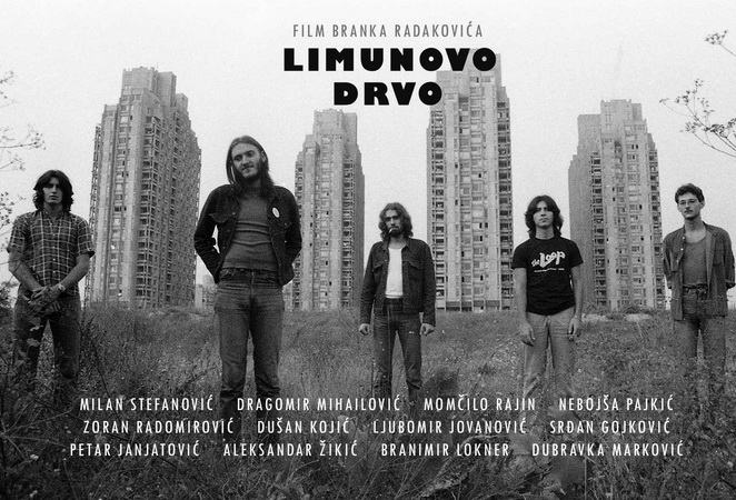 Limunovo drvo u Zagrebu