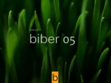 biber