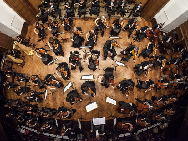 Osuda nasilja nad muzičarima BGF, otkazan koncert