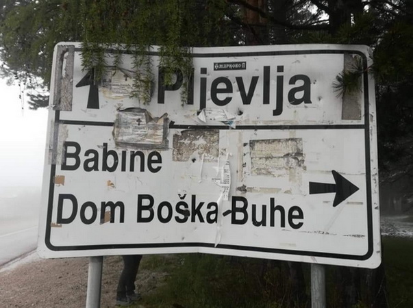 (Ne)osporeno nasleđe, na primeru Boška Buhe